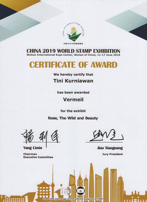 Tini 2019. Wuhan (FIP)